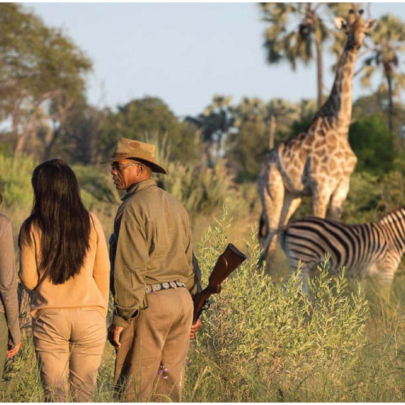 Savuti Travels - _Botswanna, Chobe - okavango copy 2