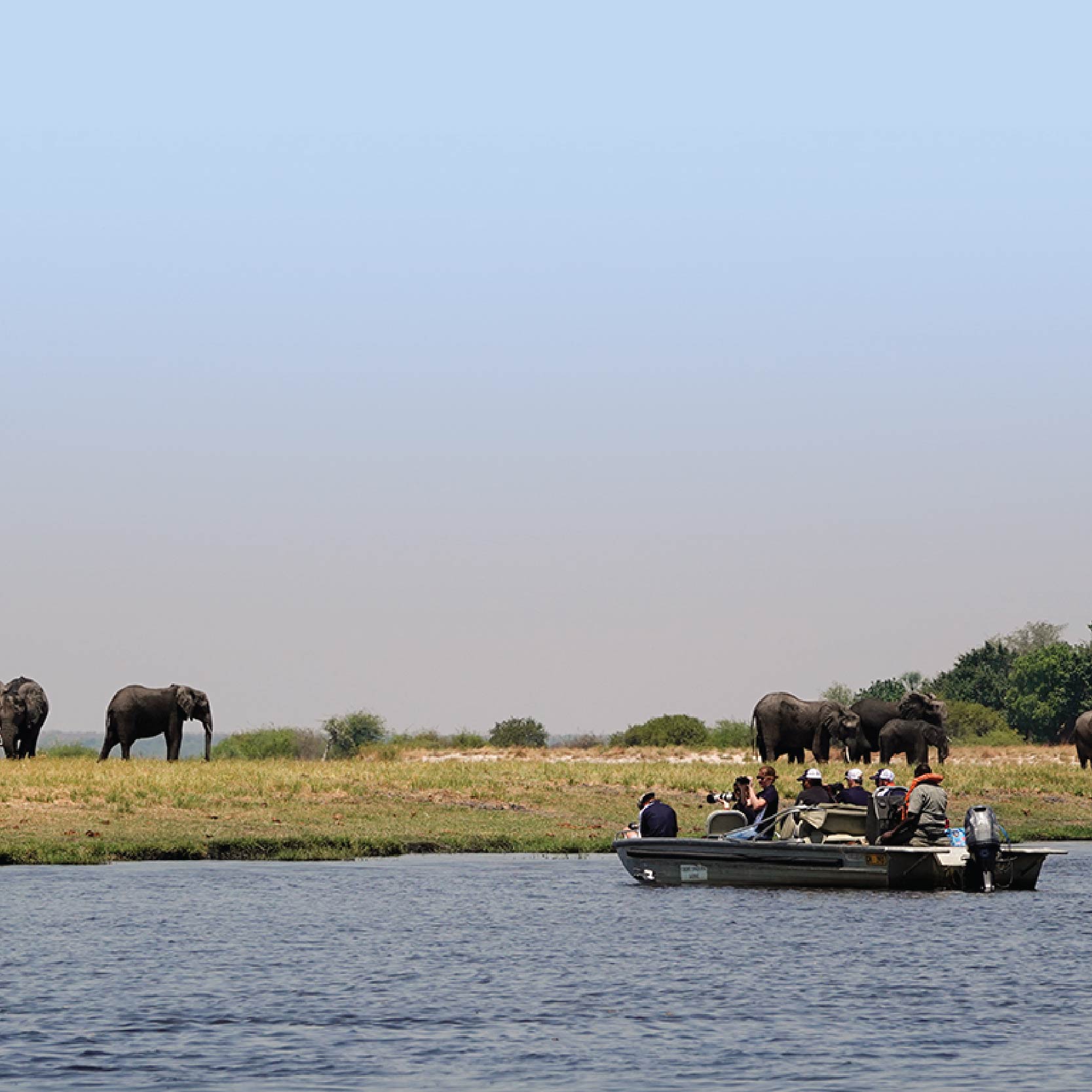 Savuti Travels - _Botswanna, Chobe - okavango copy 3