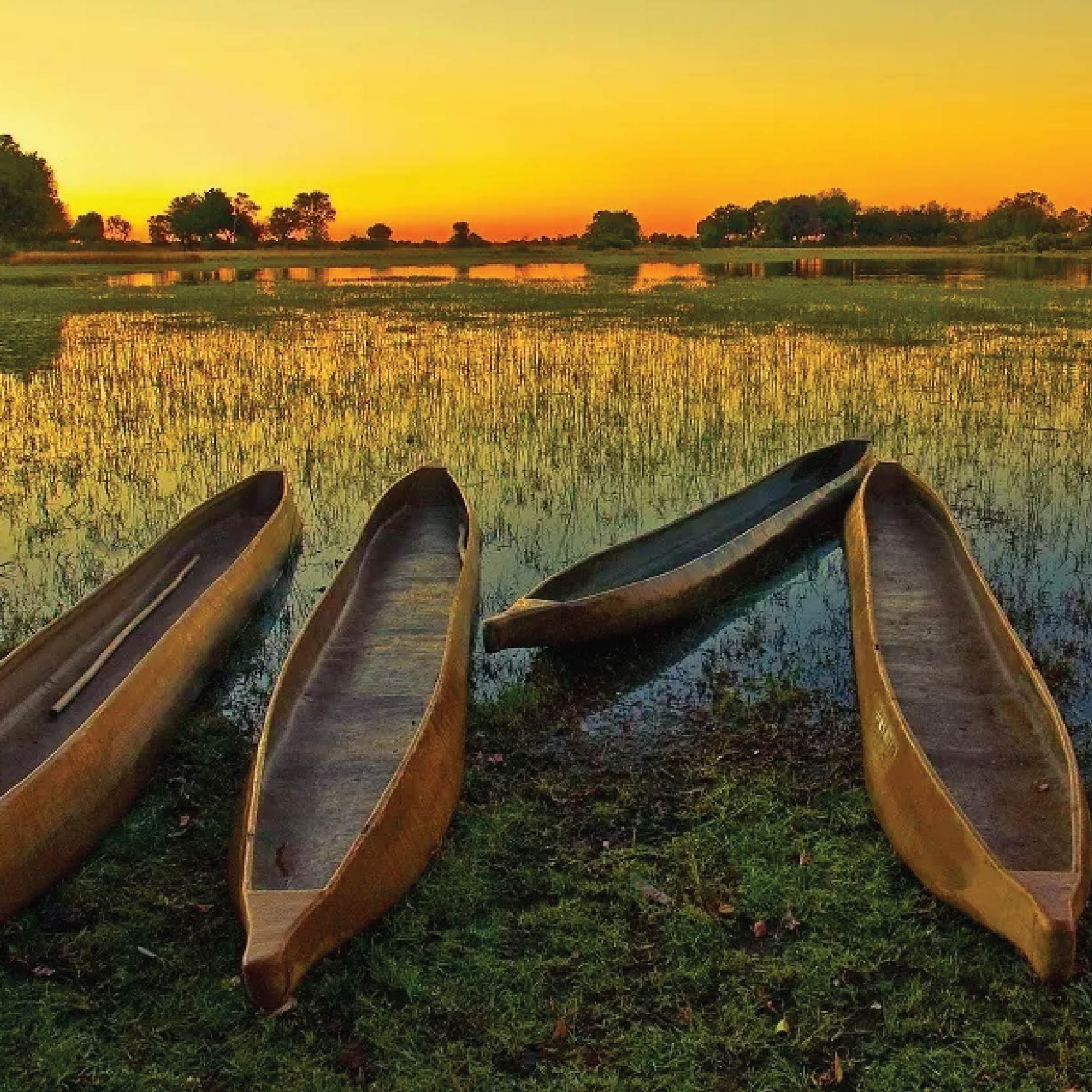 Savuti Travels - _Botswanna, Chobe - okavango copy 4