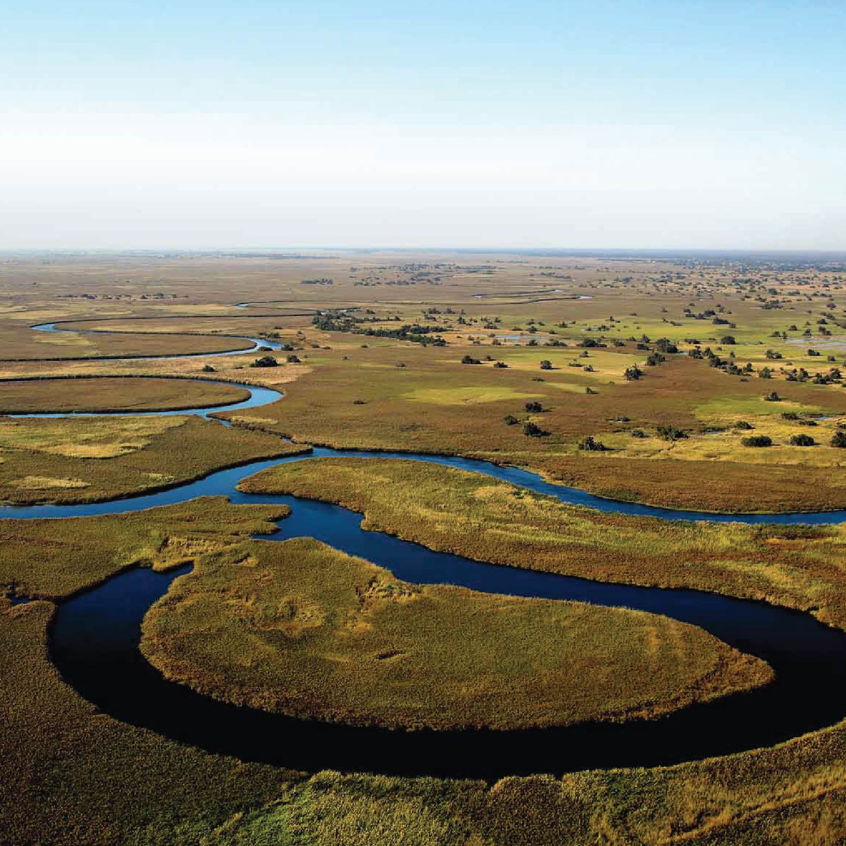 Savuti Travels - _Botswanna, Chobe - okavango copy