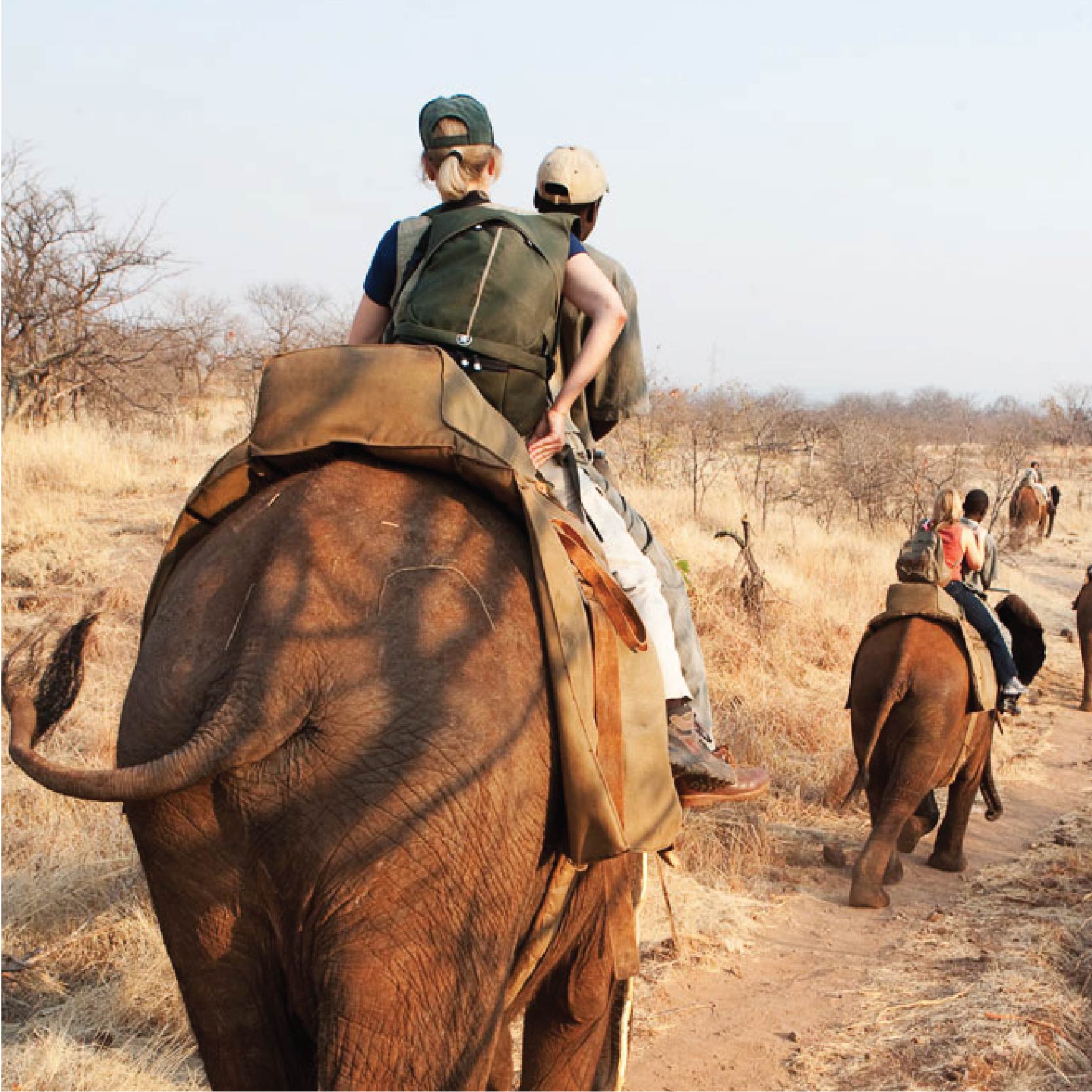 Savuti Travles_Zambia Livingstone copy 2