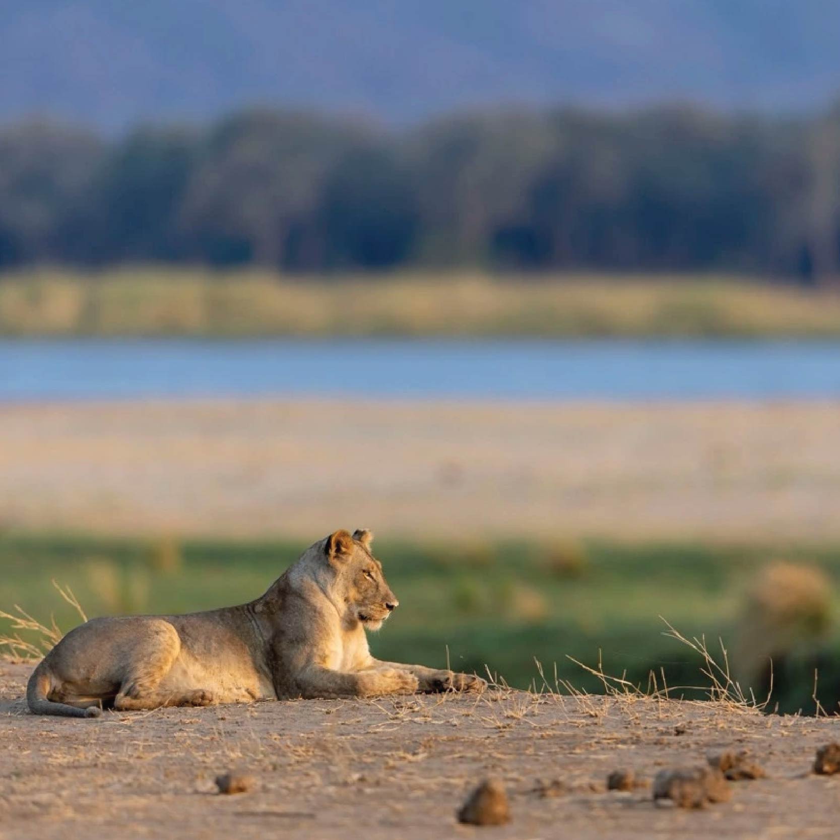 Zim_Savuti - Zimbabwe copy 2